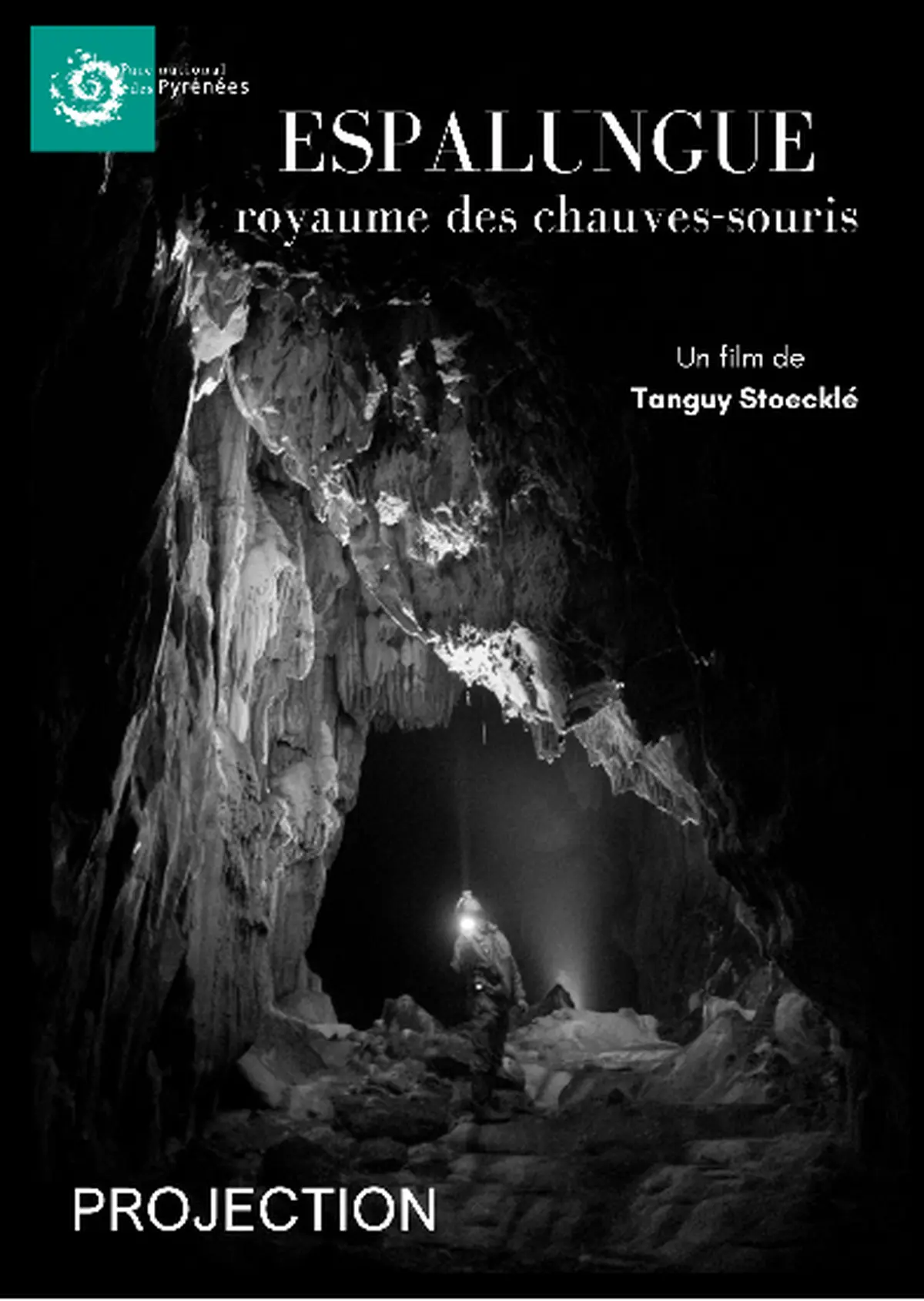 Projection - échanges : Espalungue, le royaume des chauves souris