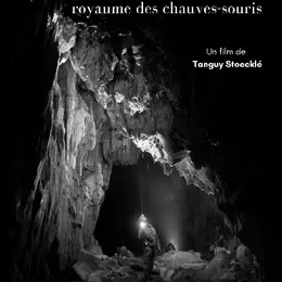 Projection - échanges : Espalungue, le royaume des chauves souris