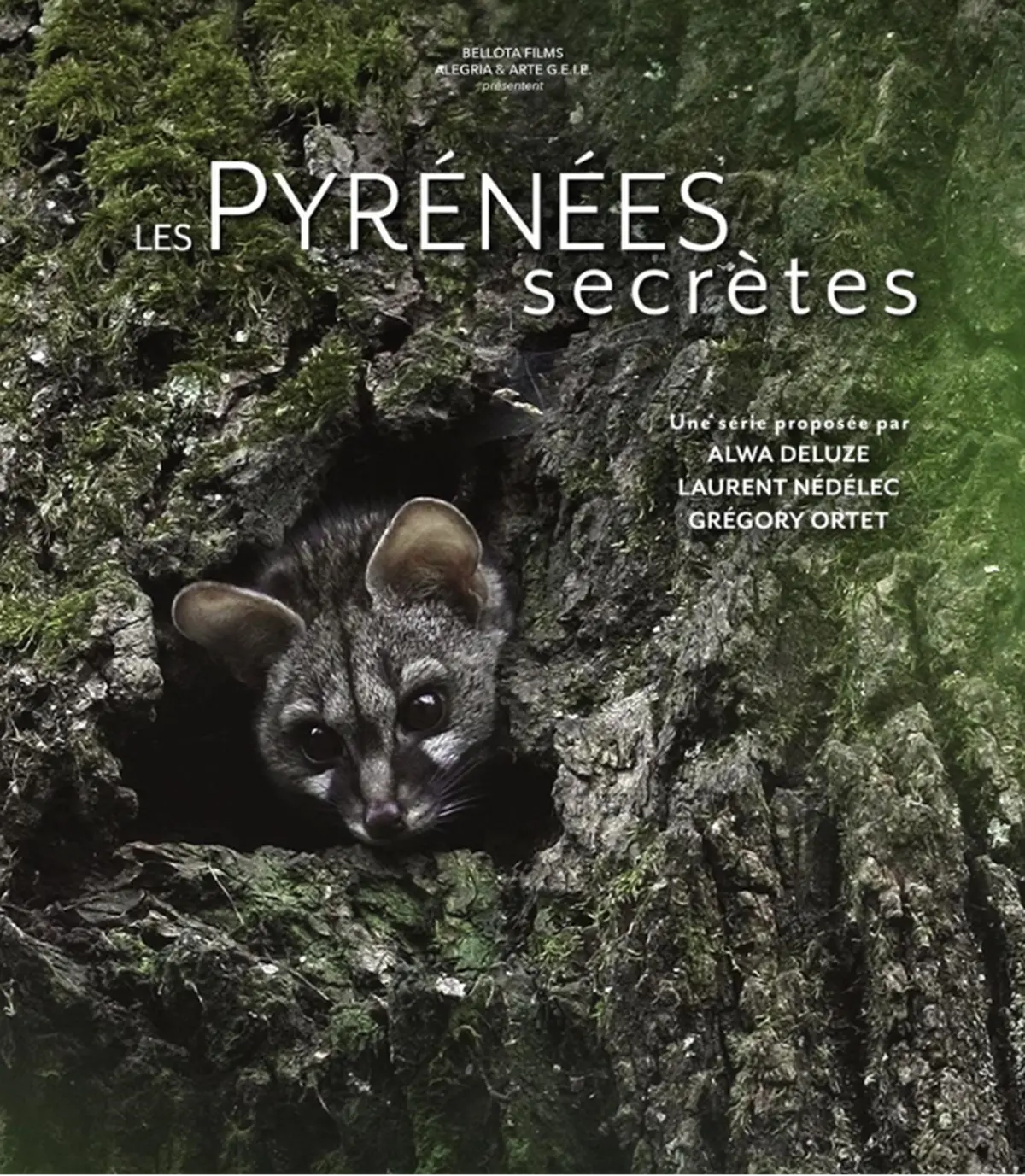 Projection - échanges : La discrète du piémont, la Genette