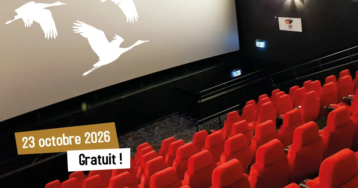 Projection – Échanges « La Grue cendrée : Sur les ailes d’une géante » de Annekatrin Mücke