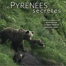 Projection - échanges : Le roi des fôrets ancestrales, l'Ours Brun
