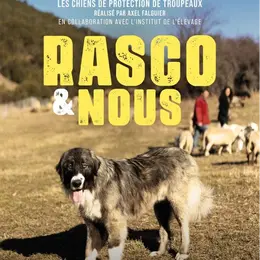 Projection - échanges : Rasco et nous