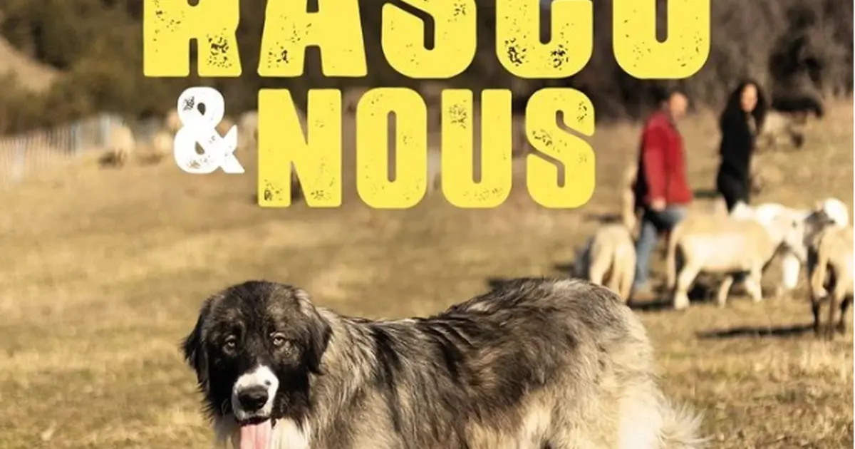 Projection - échanges : Rasco et nous