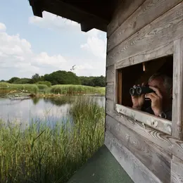 Projection en plein air