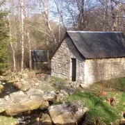 Projection et deébat sur le thème des abeilles