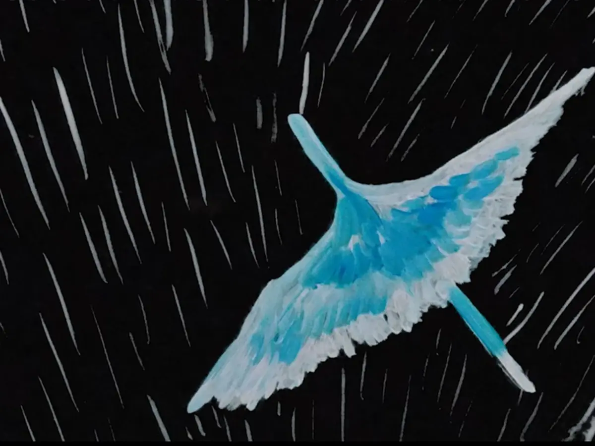 Projection - Films d'Animation