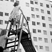 Projection : L'amour existe, suivi de Le COD et le coquelocot