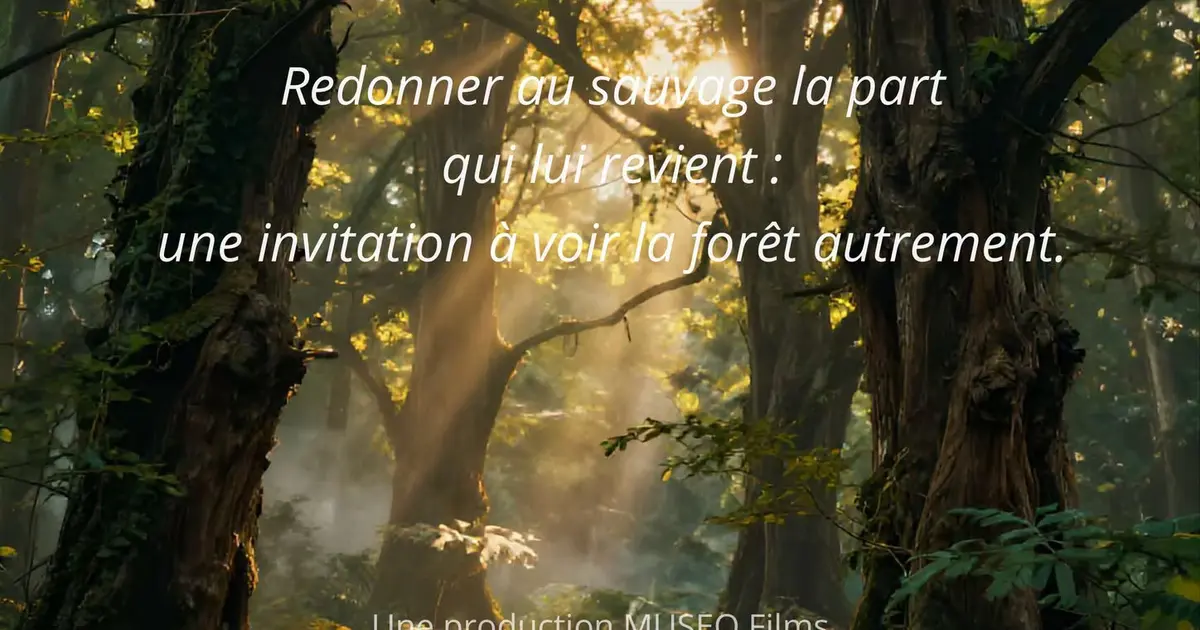 Projection « La Forêt de la Princesse »