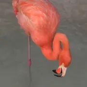 Projection Laure Prouvost Dit Peur