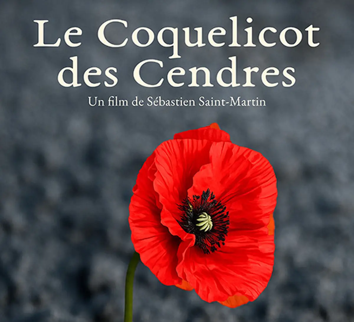 Projection Le Coquelicot des Cendres