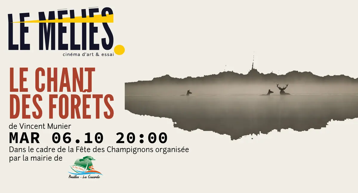 Projection pour la Fête des Champignons