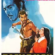 Projection Rashomon