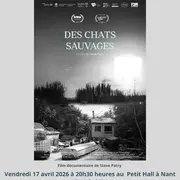 Projection Rencontre