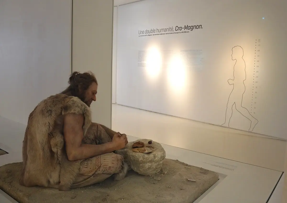 Projection - Rencontre Primitif