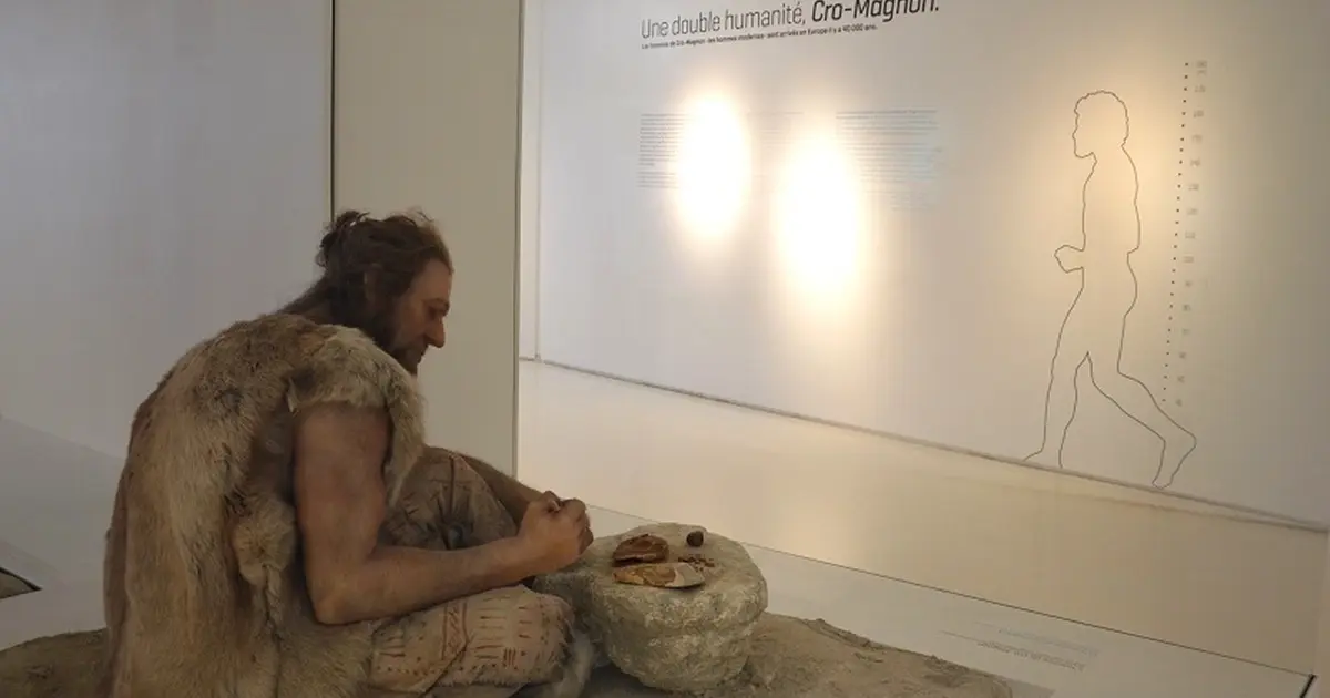 Projection - Rencontre "Primitif"