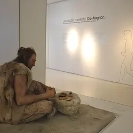 Projection - Rencontre Primitif