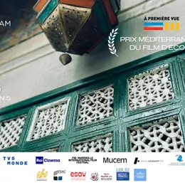 Projections et remise du prix « À Première Vue » FID Marseille