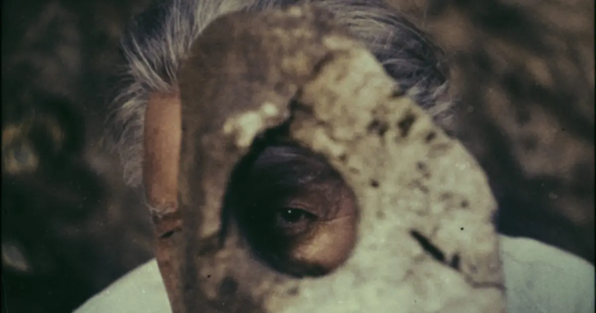 Projections - Hommage à Guillaume Bijl