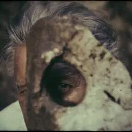 Projections - Hommage à Guillaume Bijl