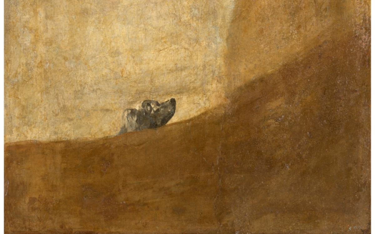 Projet de création internationale bilingue avec La Escuela Superior de Arte Dramático de Castilla y León