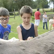 Promen'ânes Contée et dégustation de bourret, châtaignes et merveilles