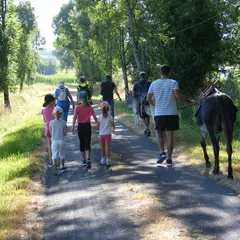 Promenade à dos d'âne