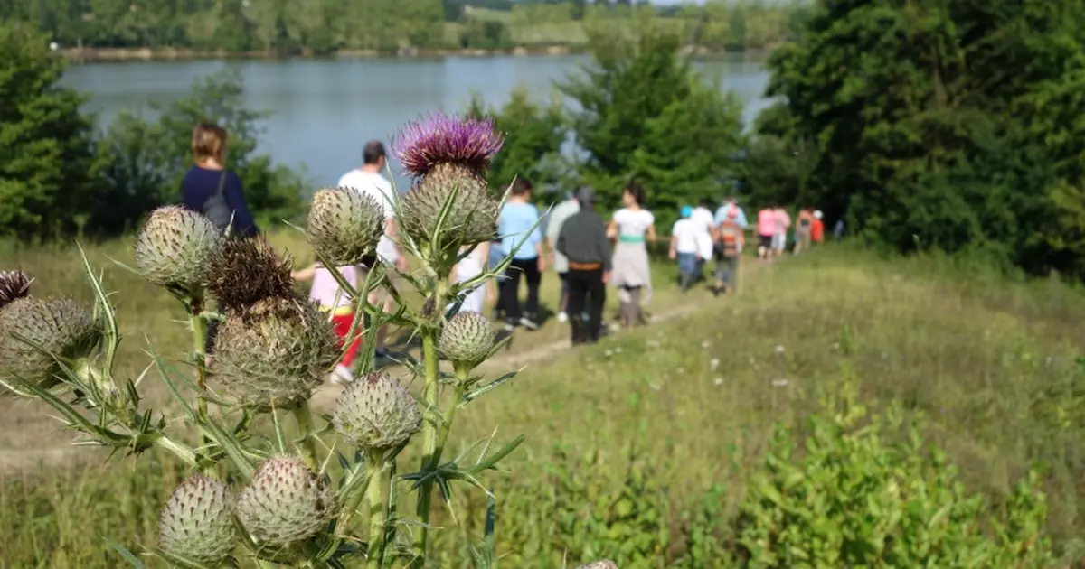 Promenade à la découverte du lac de la Prade