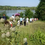 Promenade à la découverte du lac de la Prade