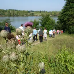 Promenade à la découverte du lac de la Prade