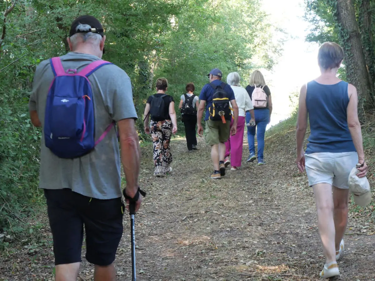 Promenade commentée autour de l'étang de Goule