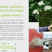 Promenade cueillette  Préparons les breuvages de nos grands-mères