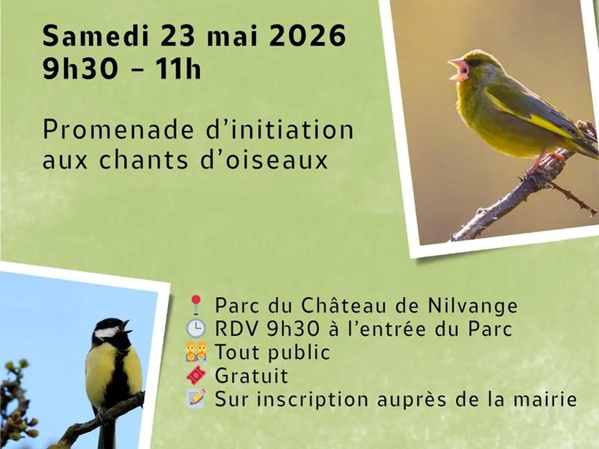 Promenade d’initiation aux chants d’oiseaux