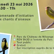 Promenade d’initiation aux chants d’oiseaux