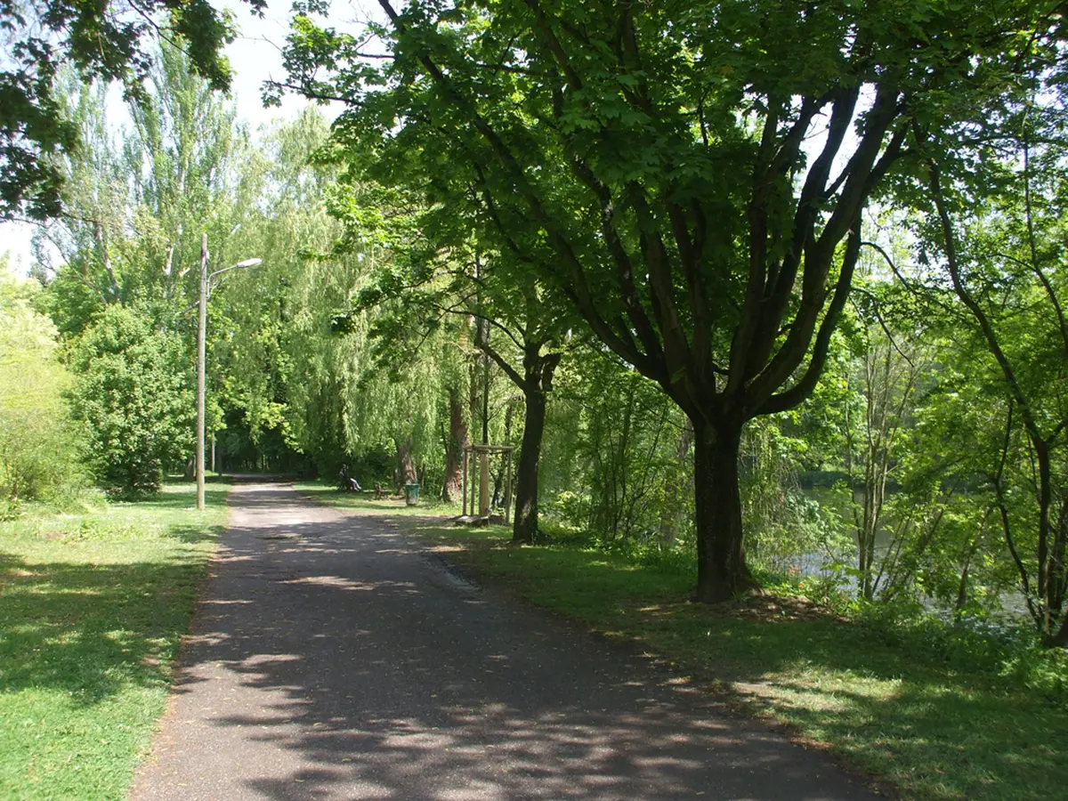 Une longue promenade ombrag&eacute;e qui nous m&egrave;ne jusqu'au centre de Mulhouse