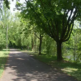 Promenade de l'Illberg