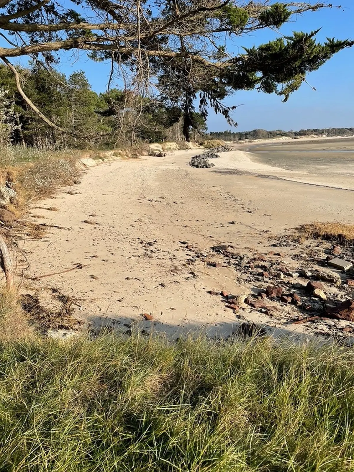 Promenade-découverte nature de la pointe nord du havre de la Vanlée