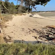 Promenade-découverte nature de la pointe nord du havre de la Vanlée