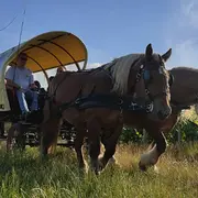 Promenade en calèche