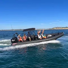 Promenade en mer sur la journée dans le Golfe du Morbihan (56)