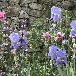 Promenade gourmande - château de Losmonerie