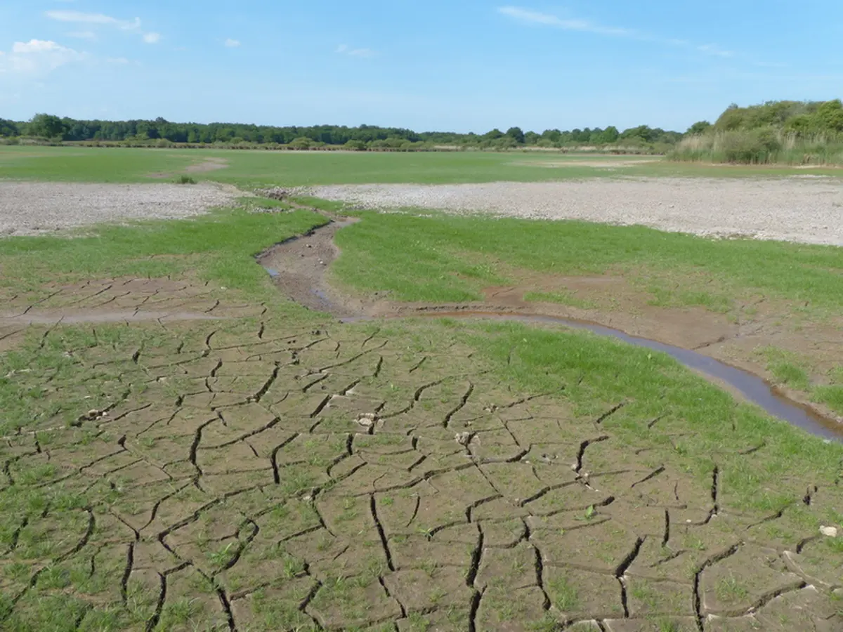 Promenade insolite sur un étang sans eau