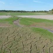 Promenade insolite sur un étang sans eau