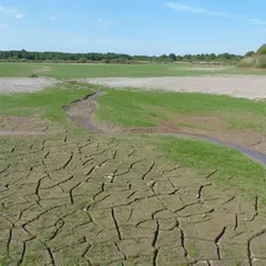 Promenade insolite sur un étang sans eau