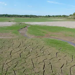 Promenade insolite sur un étang sans eau