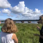 Promenade nature: Le tour du  lac d'Aureilhan