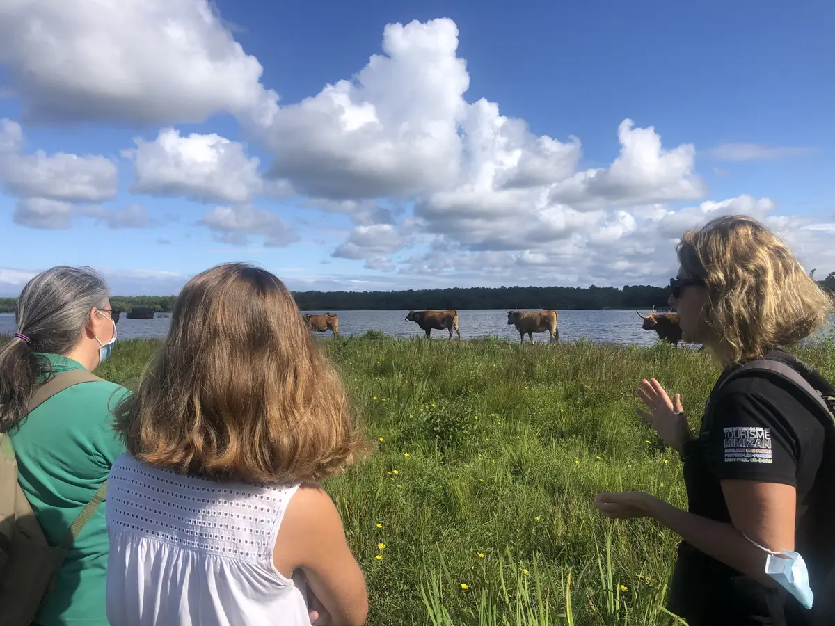 Promenade nature: Le tour du lac d'Aureilhan