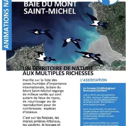 Promenade ornithologique entre baie, bocage et marais
