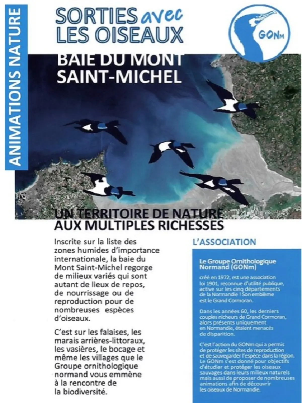 Promenade ornithologique entre baie, bocage et marais