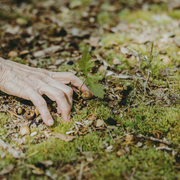 Promenade Poétique | Agathe Charnet et Lillah Vial | Habiter la forêt