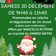 Promenades en calèche et dégustation de vin chaud